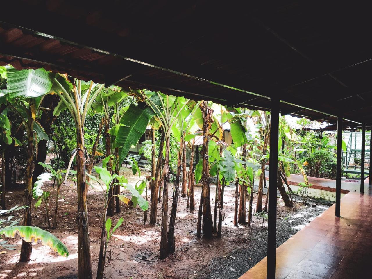 Palm Grove Service Villa Kochi Eksteriør billede